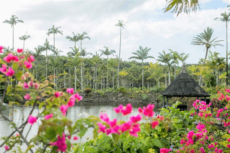 東南植物楽園1