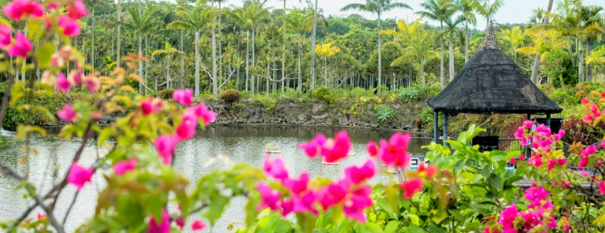 東南植物園