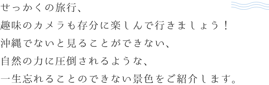 せっかくの旅行、趣味のカメラも存分に楽しんで行きましょう！自然の力に圧倒されるような、一生忘れることのできない景色をご紹介します。