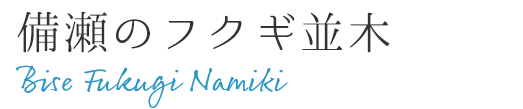 備瀬のフクギ並木 Bise Fukugi Namiki