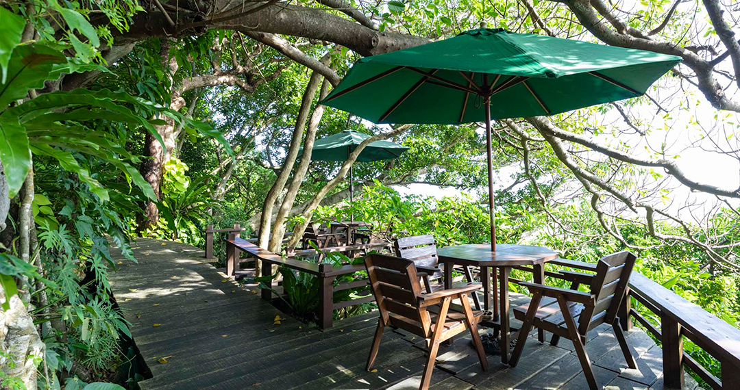 癒しの絶景カフェ Okinawa「森カフェ」