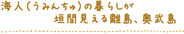 海人（うみんちゅ）の暮らしが垣間見える離島、奥武島