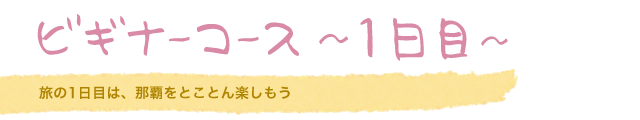 ビギナーコース（1日目）