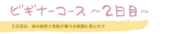 ビギナーコース ?2日目?