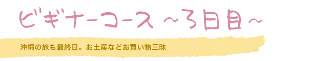 ビギナーコース ?3日目?