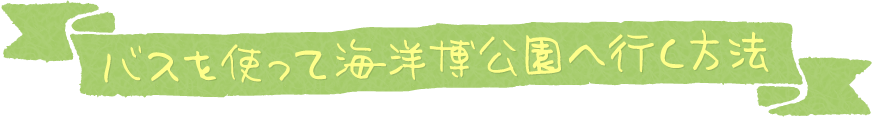 バスを使って海洋博公園へ行く方法