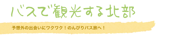 バスで観光する北部