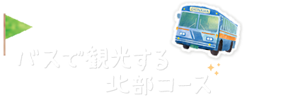 バスで観光する北部コース