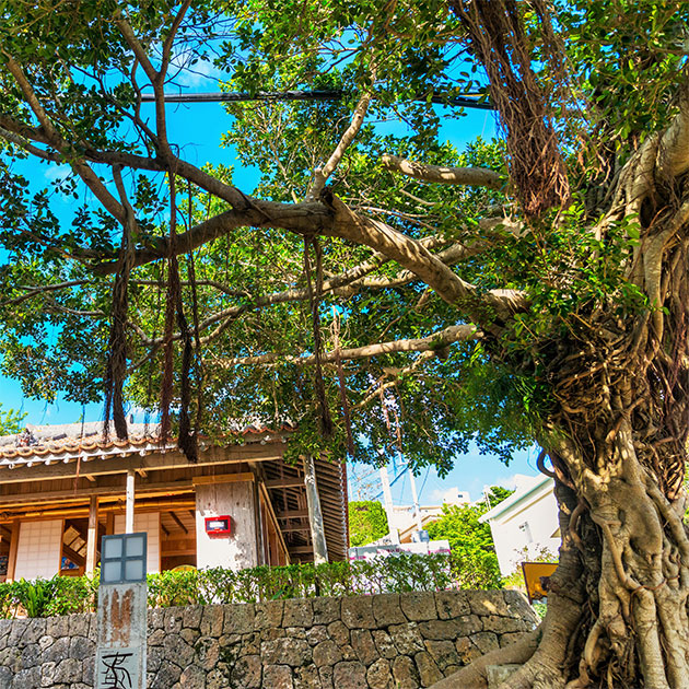 金城町石畳道