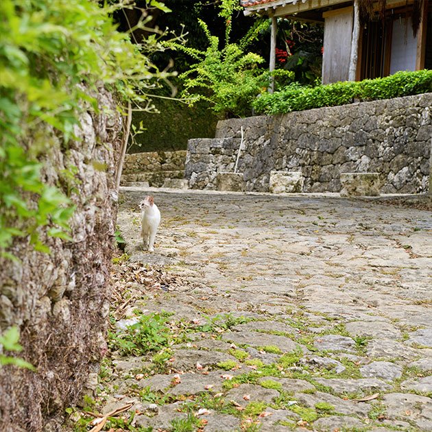 金城町石畳道