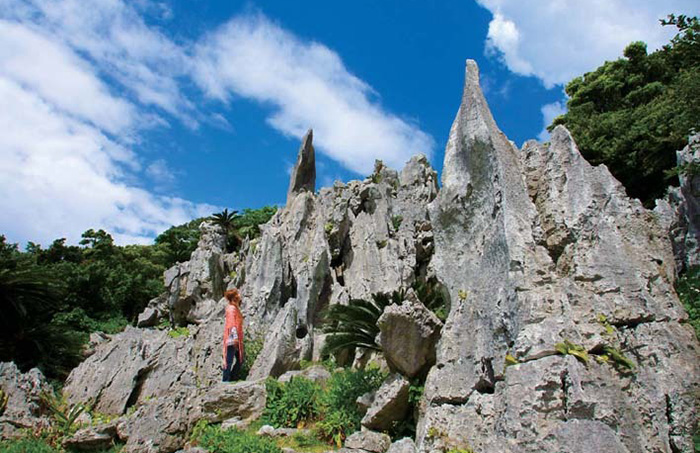 大石林山