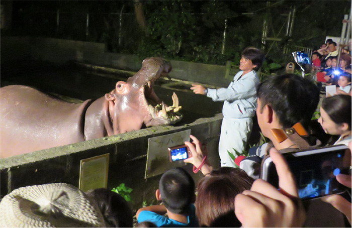 夜の動物園