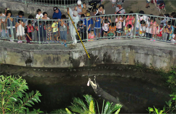 夜の動物園