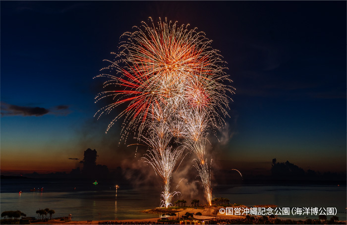 海洋博公園サマーフェスティバル